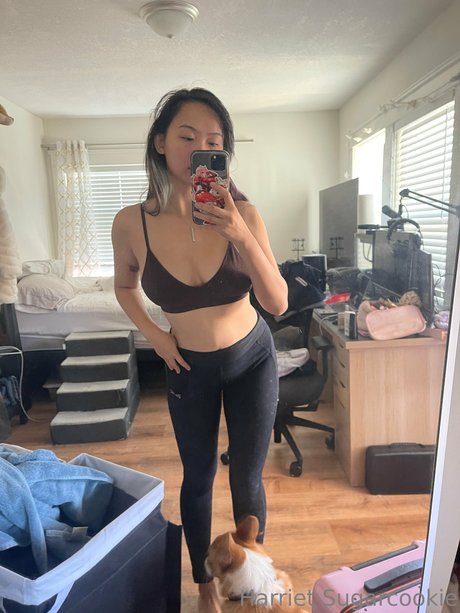 Harriet Sugarcookie