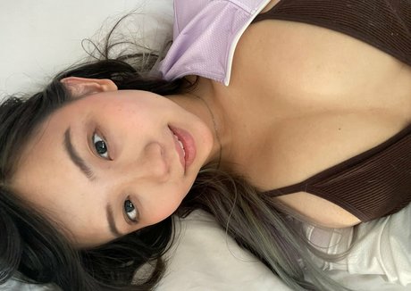 Harriet Sugarcookie