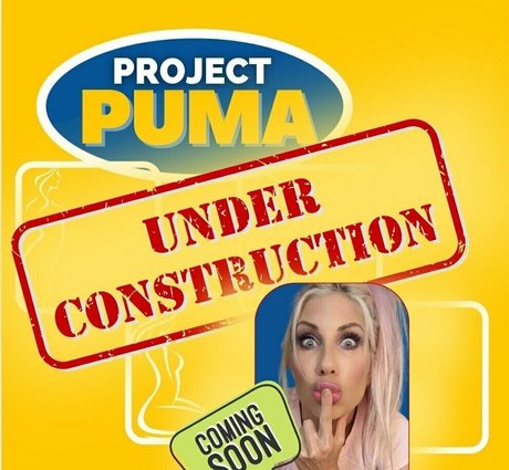 Pumaswede