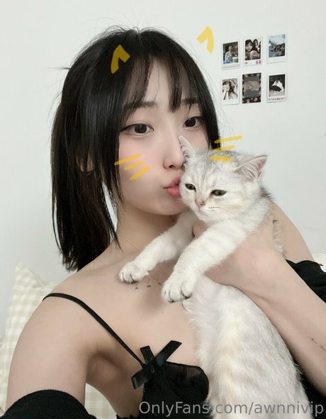 Awnnivip