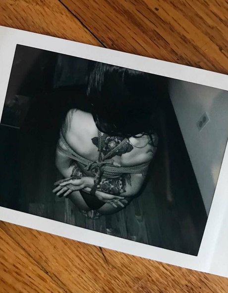 Akatsukishibari
