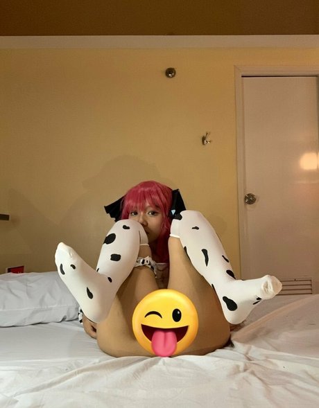 Raisoftwi