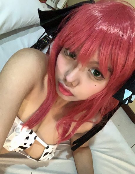 Raisoftwi
