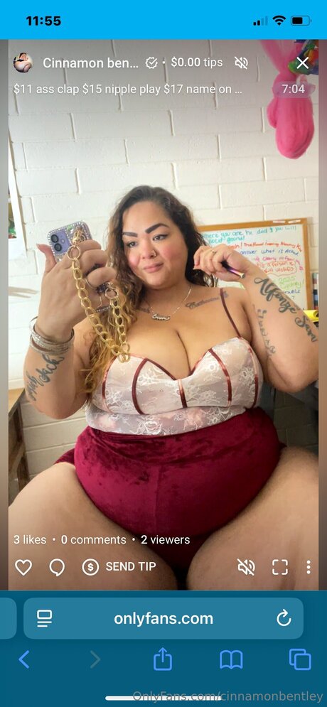 Cinnamonbentley