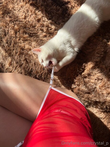 Naakte gelekte OnlyFans-foto van Crystal P