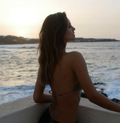 Nicola Cavanis