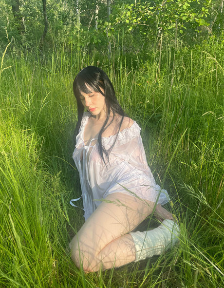 Dreamydi