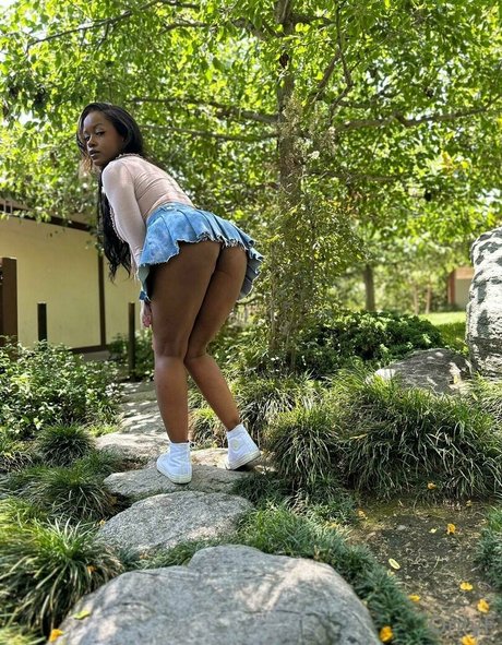 Jezabelvisser