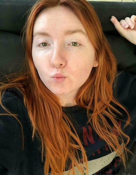 Gingerwilde