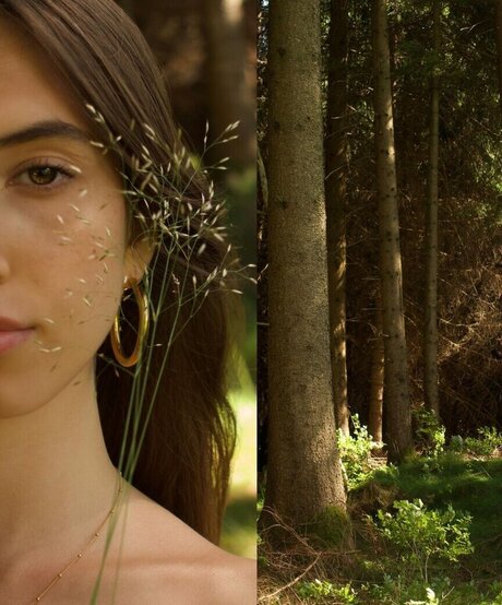 Yonca