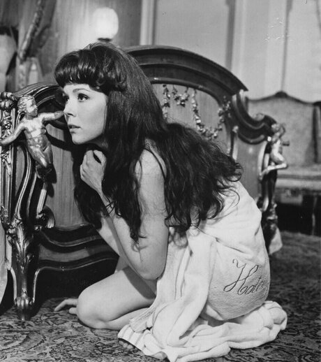 Vintage Sexy Celebs