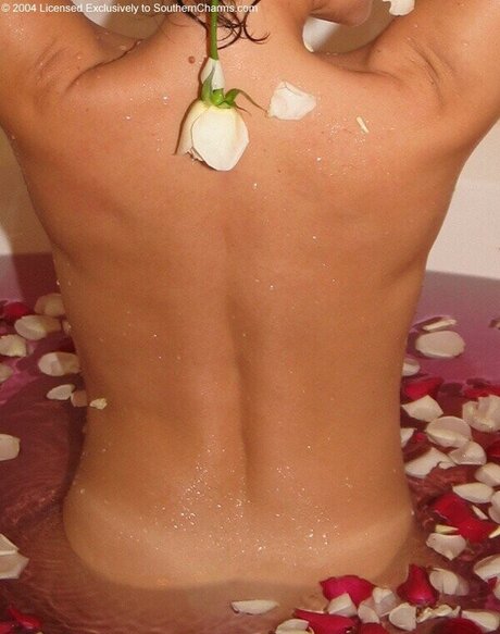 Southerncharms Reese