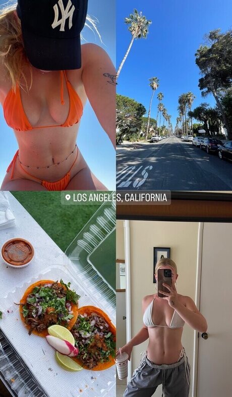 Majaaleonie