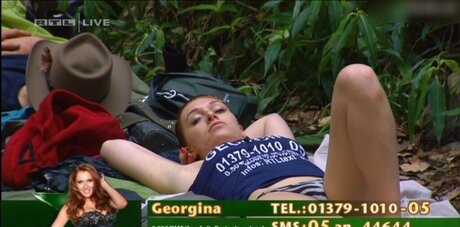 Ich bin ein Star – Holt mich hier raus!