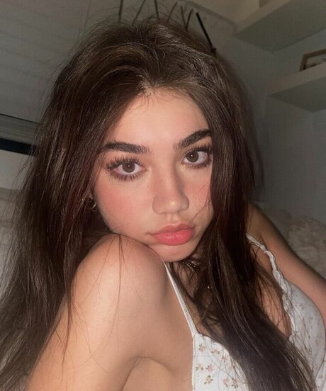Megmuise