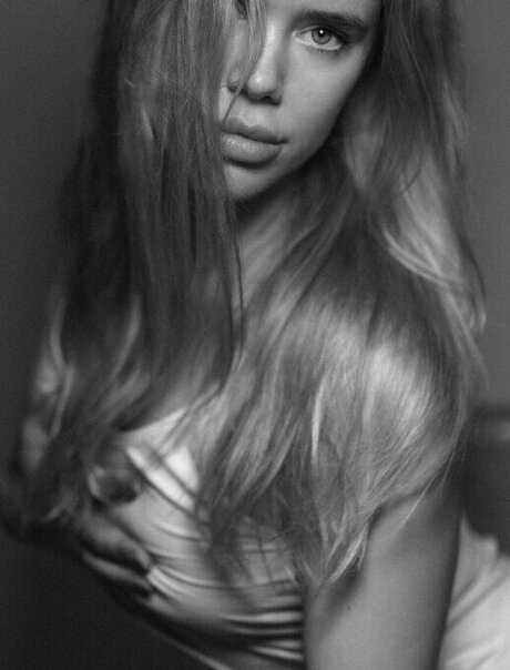 Hollaura