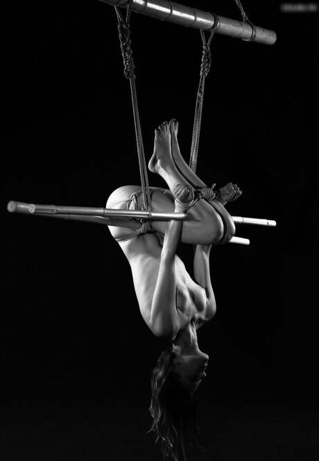 Jennifer Jacques