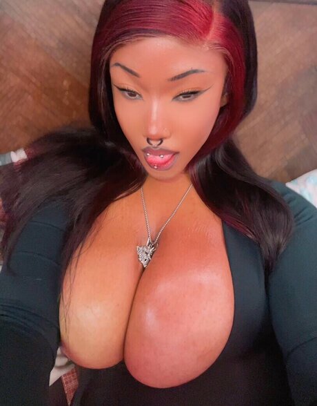 Yokopanx