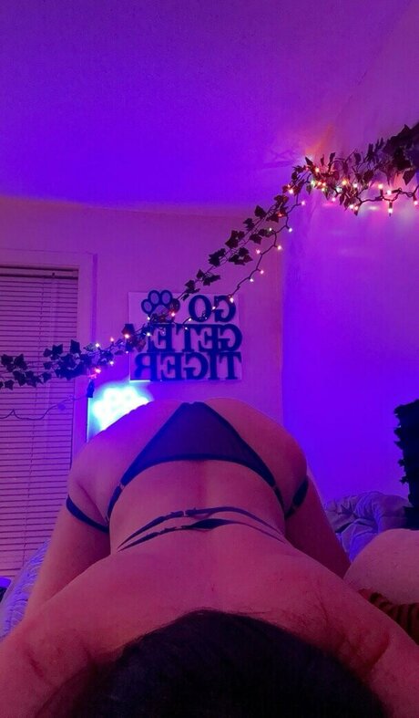 Bbcvixen