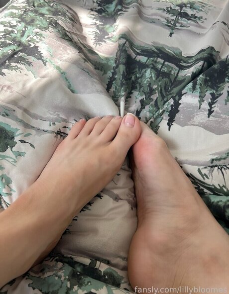 Msfiiire