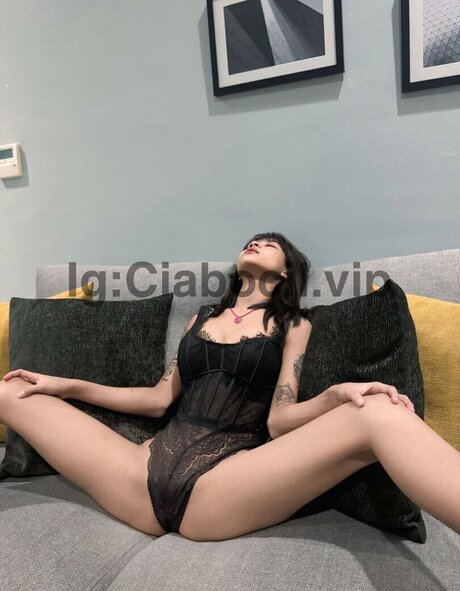 Ciabocilvip