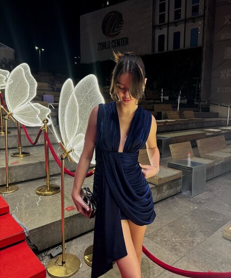 Sinem Melek Cokun