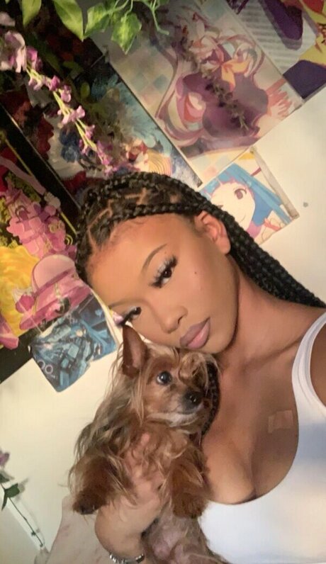 Goldenbihxo