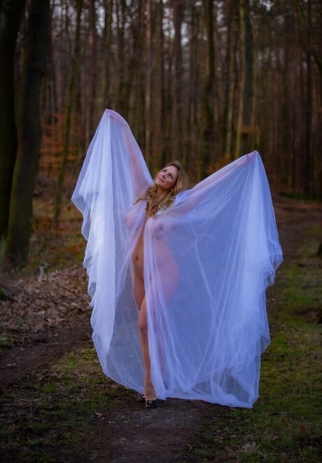 Cold Angel