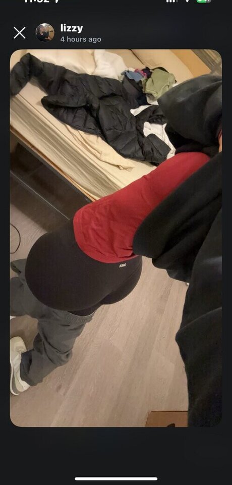 Thelizzyporter