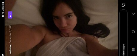 Thelizzyporter