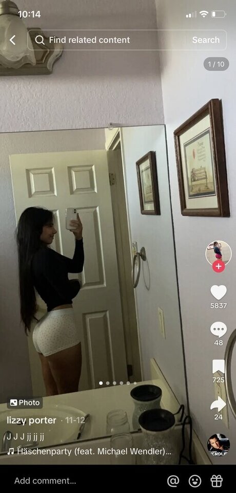 Thelizzyporter