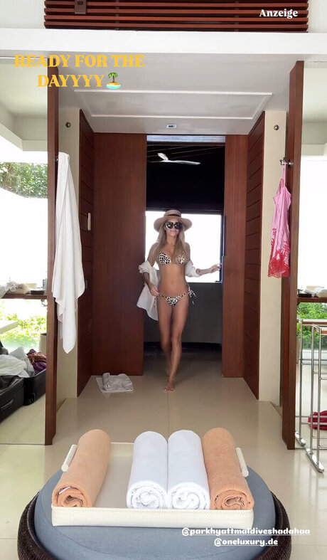 Sylvie Meis