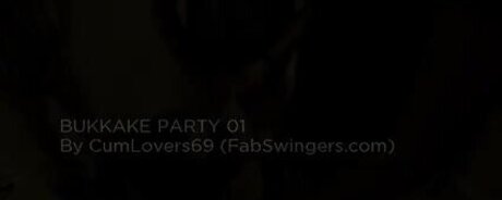 Fab Swingsrs