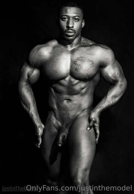 Justinthemodel