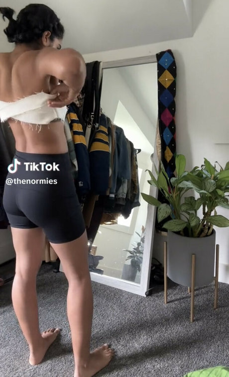 The Normies