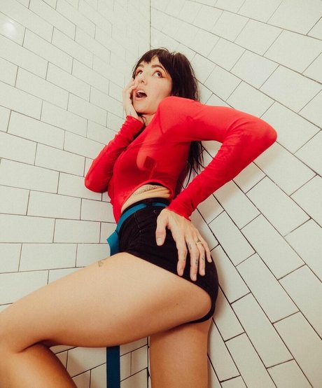 Lights Poxleitner