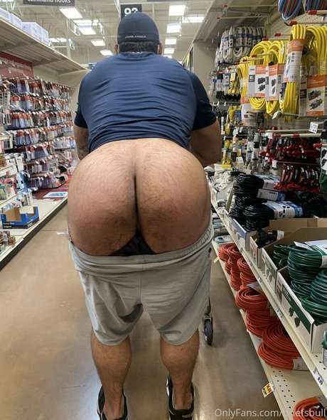 Briefsbull