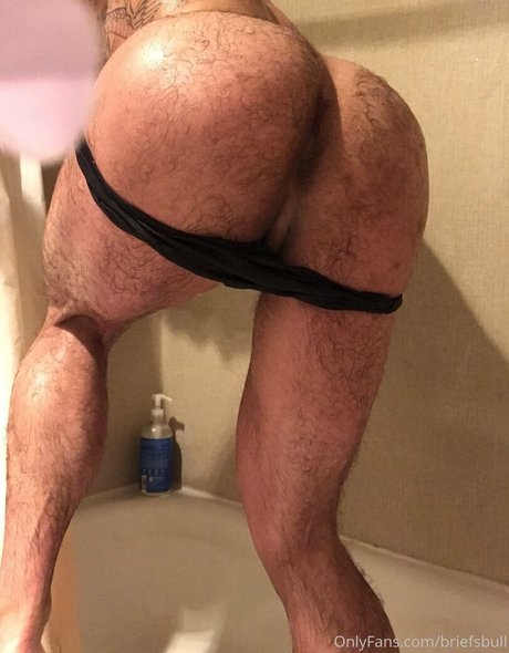 Briefsbull