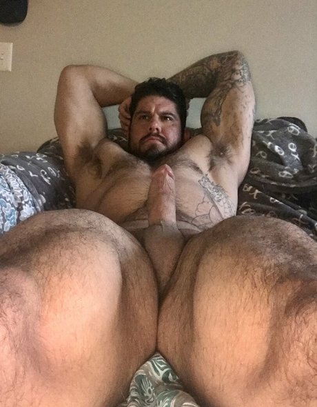 Briefsbull