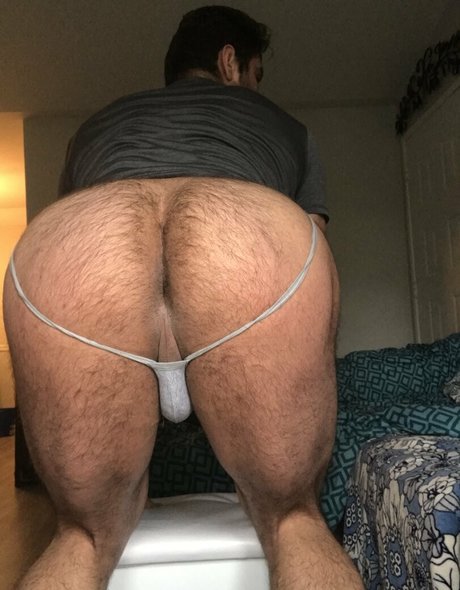 Briefsbull