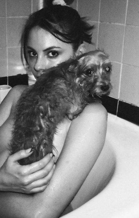 Willa Holland