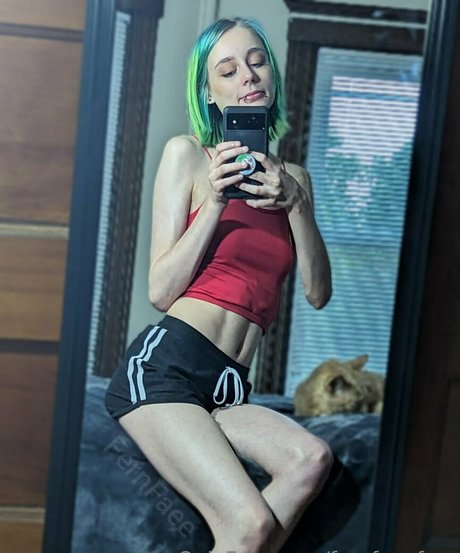 Fernfaeefree