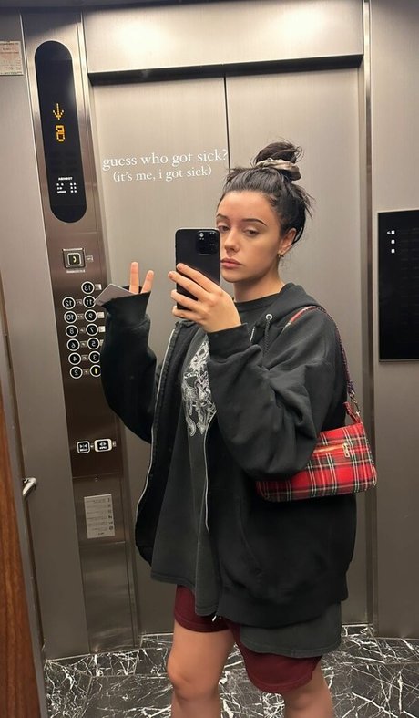 Livbev