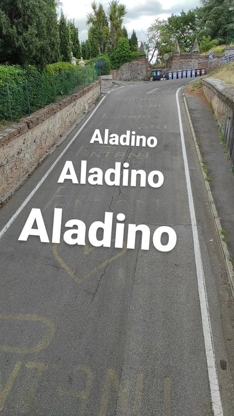 Naakte gelekte OnlyFans-foto van Aladino