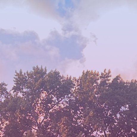 Naakte gelekte OnlyFans-foto van Quietlysmoking 