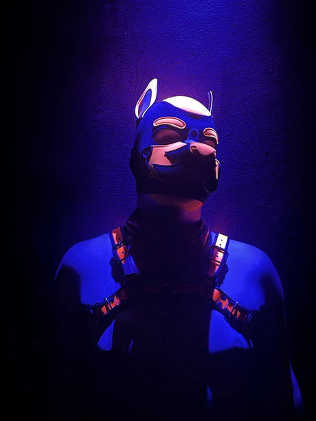 Naakte gelekte OnlyFans-foto van Quentin The Pup