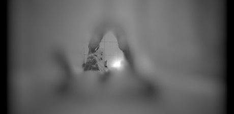 Naakte gelekte OnlyFans-foto van B E L L A
