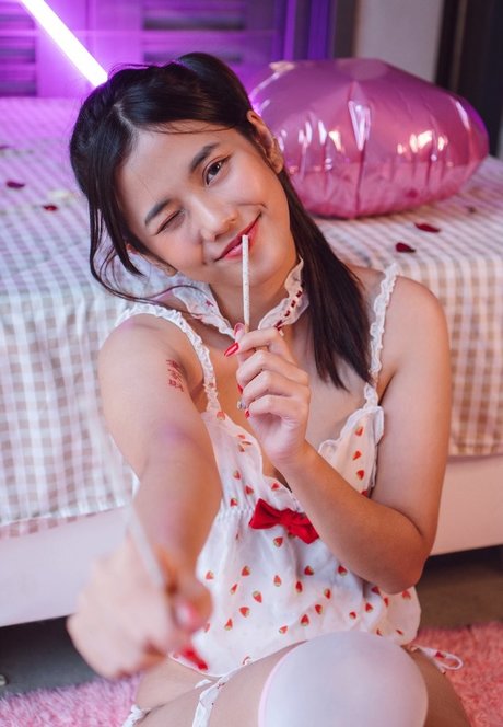 Sandydao