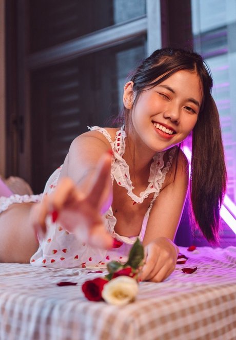 Sandydao