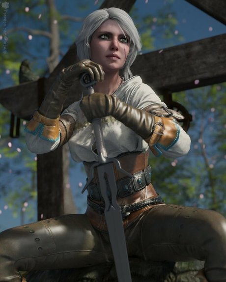 The Witcher